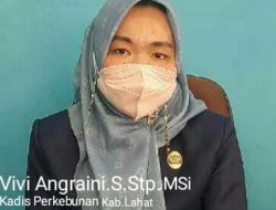 Dugaan Penyimpangan Pengadaan Penyediaan Jasa Pembuatan Aplikasi Sistem Informasi